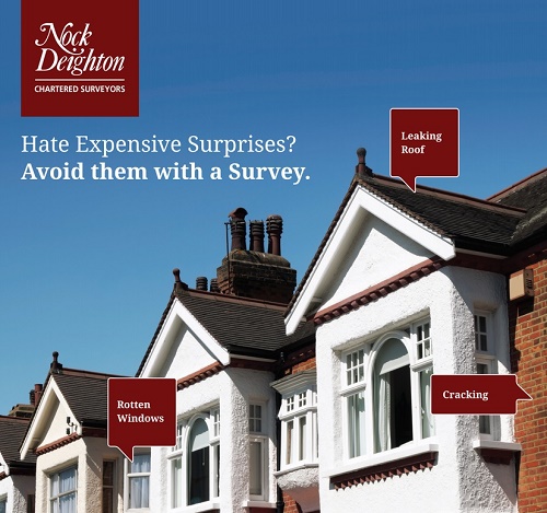 What does a property surveyor do real estate information